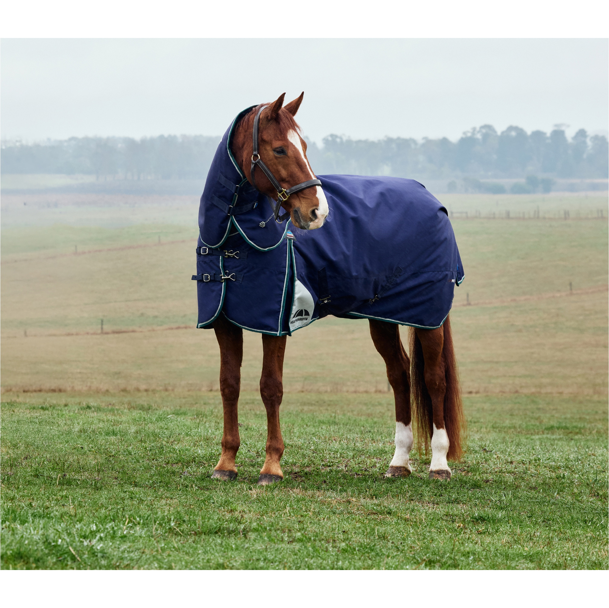 2025 Weatherbeeta Comfitec Plus Dynamic Turnout Detach - A - Neck 1029004 - Navy